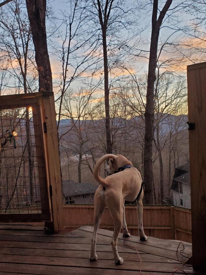 Villa Treehouse Cathedral In Blue Ridge Mountains, Nc à Burnsville Extérieur photo