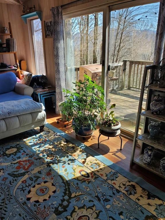 Villa Treehouse Cathedral In Blue Ridge Mountains, Nc à Burnsville Extérieur photo